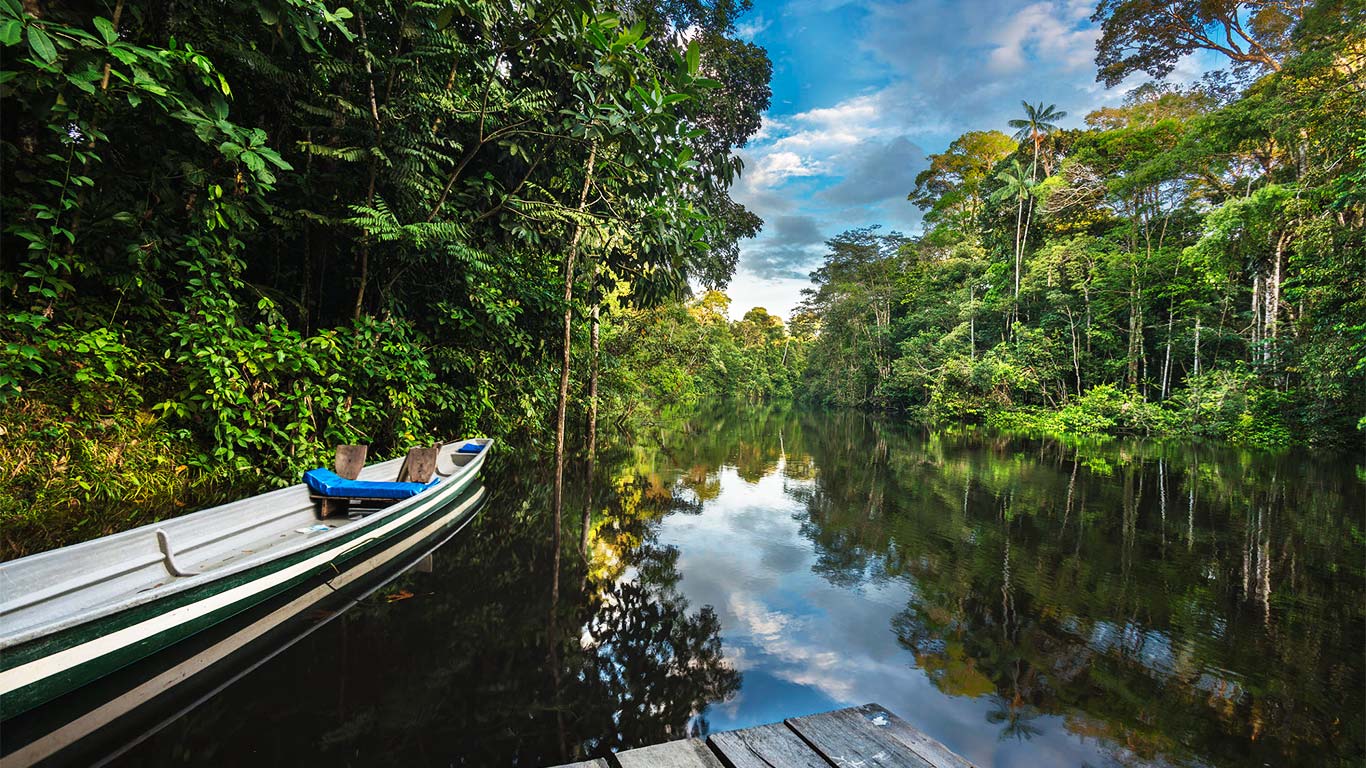 amazon rainforest boat