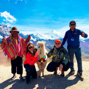 llama in rainbow mountain