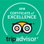 TripAdvisor